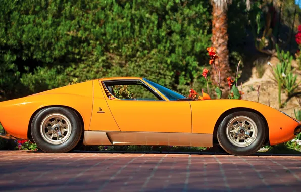 Auto, Lamborghini, Machine, Orange, Eyelashes, 1971, Lights, Car