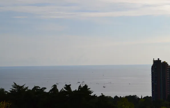 Sea, Park, view, yachts, Sochi