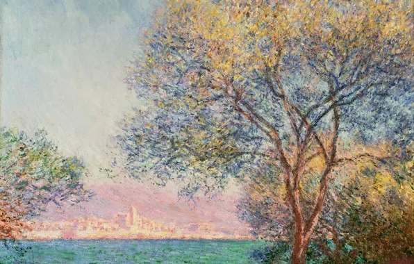 The sky, trees, the ocean, morning