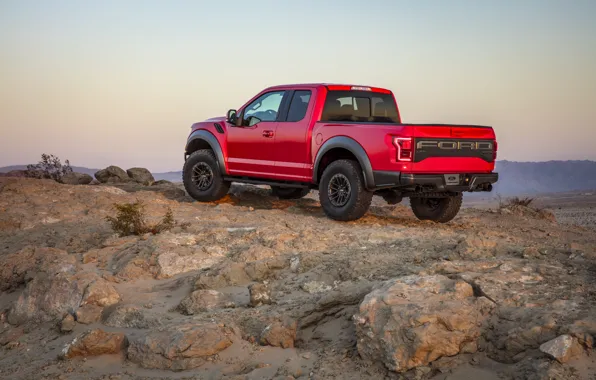 Ford, Stones, Raptor, F-150, 2019, Ford F-150 Raptor