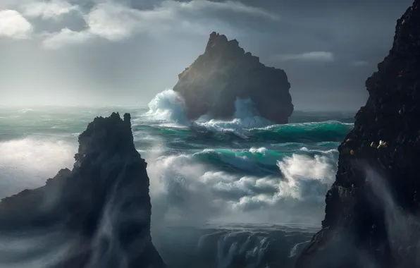 Picture sea, wave, light, storm, stones, rocks, bird, shore