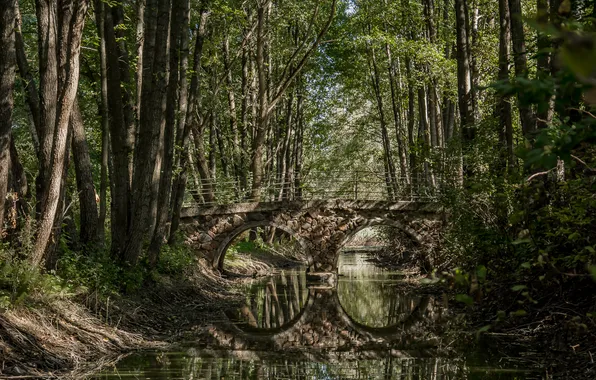 Autumn, landscape, reflection, the bridge