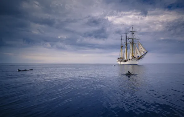 The ocean, ship, dolphins, sails