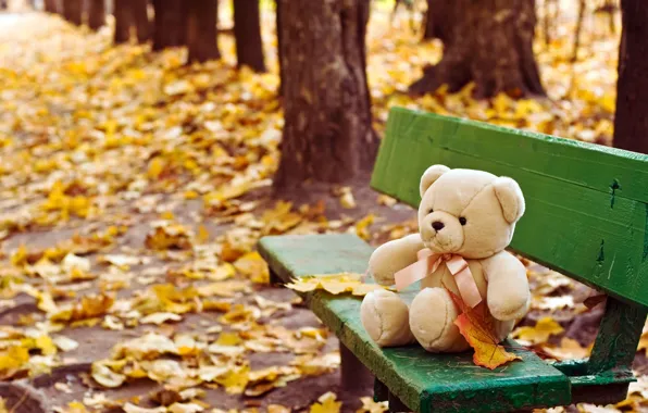 Picture autumn, toy, shop, bear