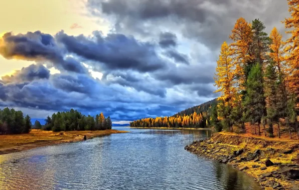 Picture autumn, forest, clouds, river, dawn, morning