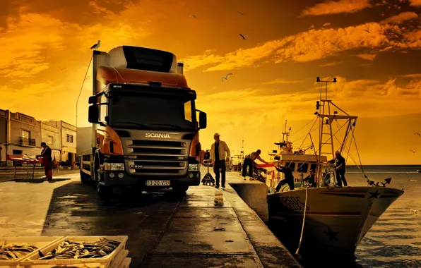 Scania, 4x2, p230