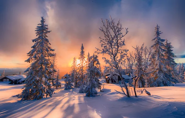 Winter, the sun, snow, trees, landscape, nature, home, ate