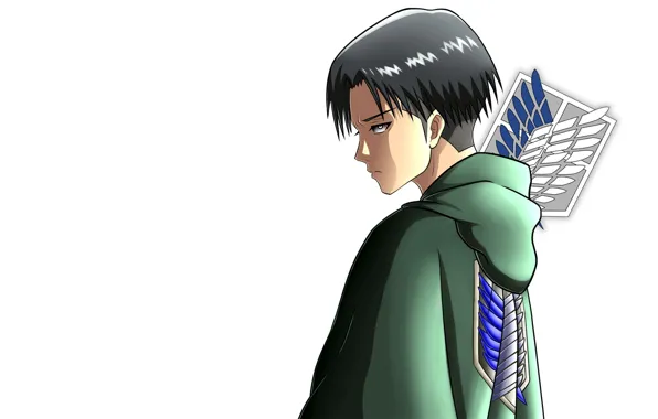 Anime, art, Shingeki no Kyojin, Attack of the titans, The invasion of the giants, Levi, …