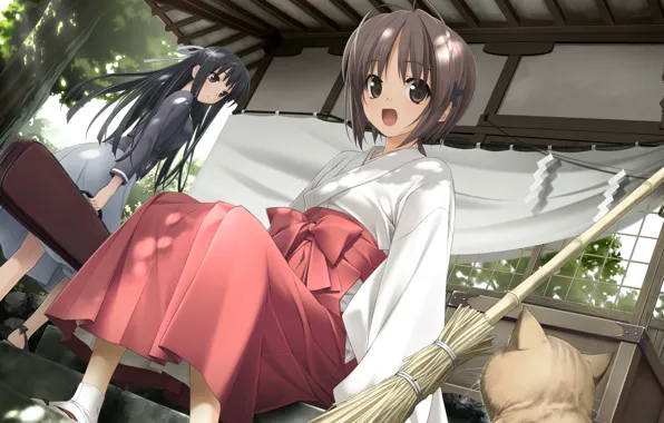 Summer, cat, temple, broom, priestess, art, friend, yosuga no sora
