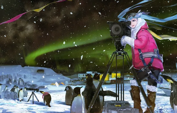 Picture ice, girl, night, Northern lights, camera, penguins, vocaloid, Vocaloid