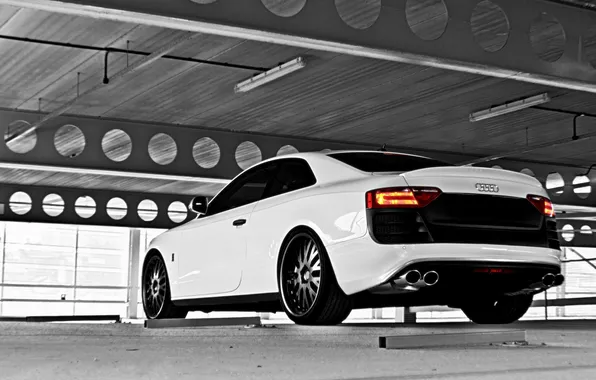 White, Audi, audi, cars, sport, cars, design, coupe