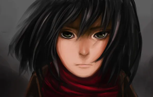 Picture look, girl, face, hair, anime, art, Mikasa Ackerman, red scarf