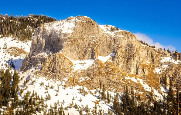 The sky, snow, trees, mountains, rocks