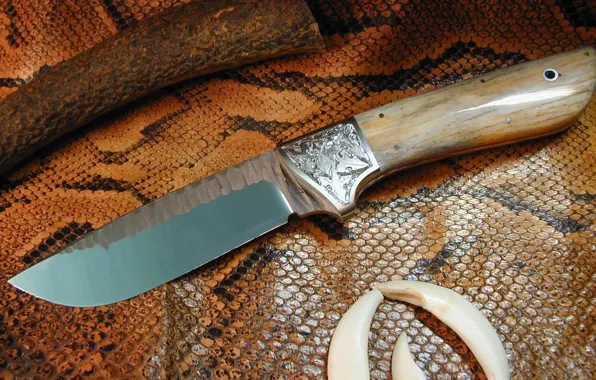 Picture leather, knife, snakes, edged weapons