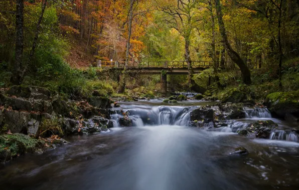 Picture autumn, forest, bridge, river, Spain, Cantabria
