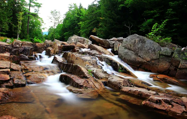 Picture Stream, Stones, Nature, River, River, Flow