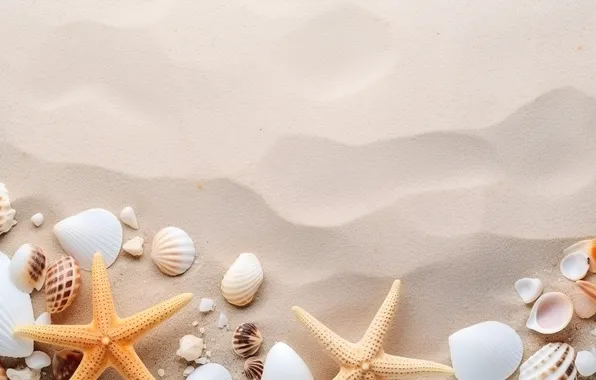 Sand, sea, beach, background, shell, beach, sea, texture
