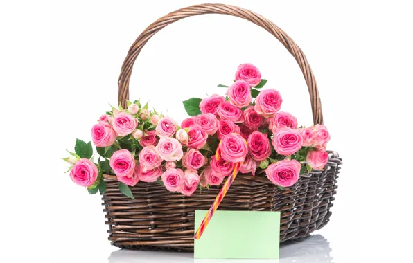 Picture basket, roses, bouquet, pink, flowers, roses, basket