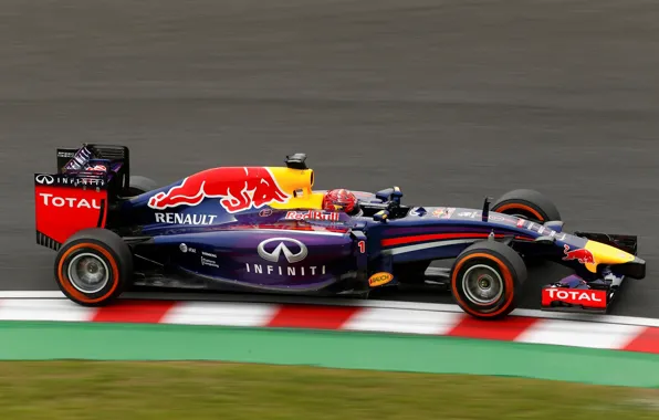 Racer, Formula 1, Sebastian Vettel, Champion