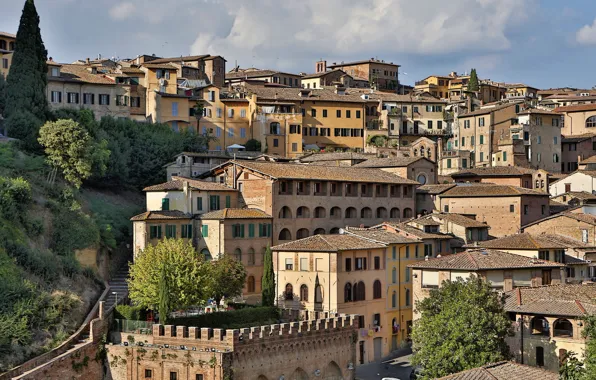 Building, home, Italy, panorama, Tuscany, Siena