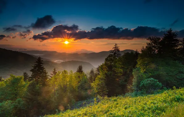 Picture dawn, morning, USA, North Carolina, mount Mitchell