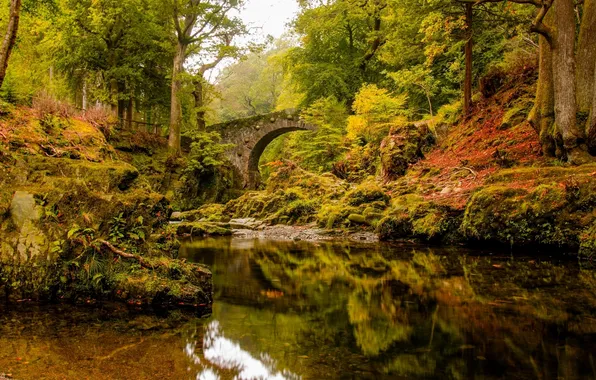Picture autumn, forest, trees, bridge, reflection, river
