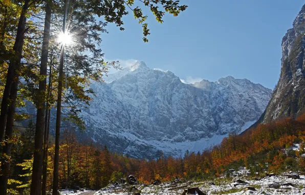 Autumn, forest, trees, mountains, Slovenia, Slovenia, The Julian Alps, Julian Alps