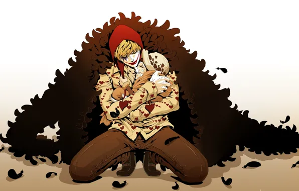 Joker, clown, pirate, guy, One Piece, jester