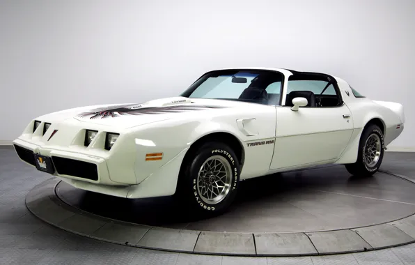 Wallpaper white, Pontiac, Pontiac, trans am, Firebird, firebird, 1979 ...