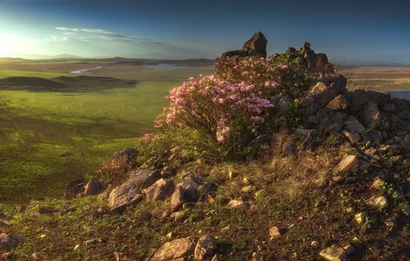 Picture landscape, sunset, nature, stones, the bushes, Primorsky Krai