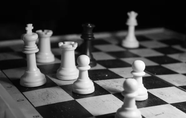 Picture white, chess, black