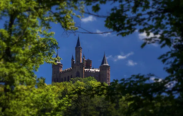 Picture the sky, trees, branches, tower, Germany, Hohenzollern castle