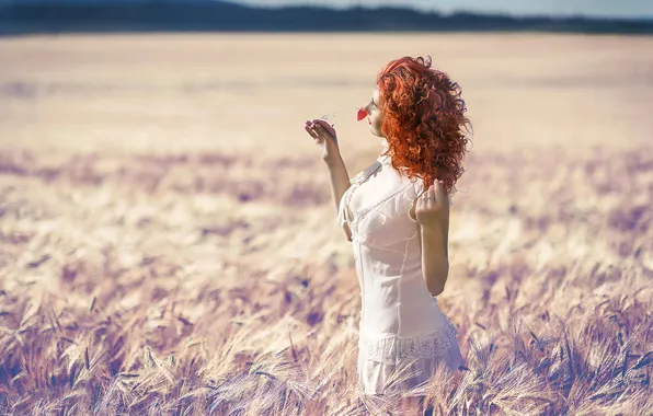 Field, summer, the sun, flower, the red-haired girl