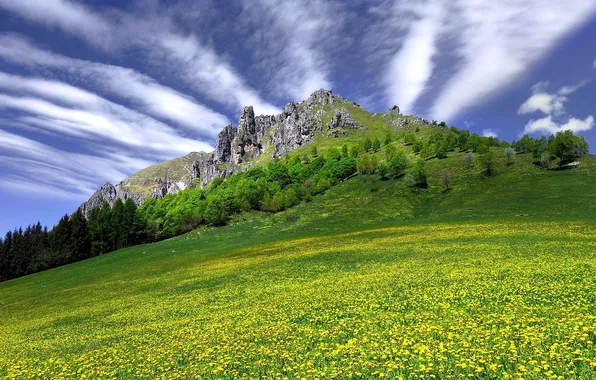 Picture the sky, grass, clouds, flowers, rock, mountain