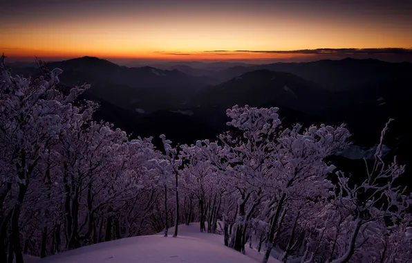 Picture winter, the sky, snow, trees, mountains, dawn, Japan, height