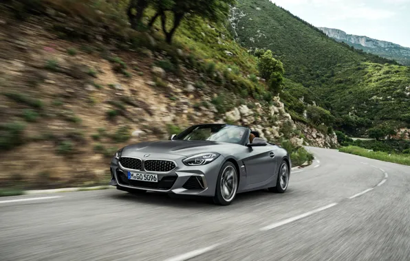 Grey, movement, BMW, Roadster, mountain road, BMW Z4, M40i, Z4