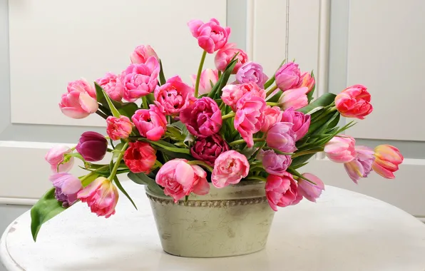 Flowers, bouquet, spring, tulips, flowers, tulips, spring, bouquet