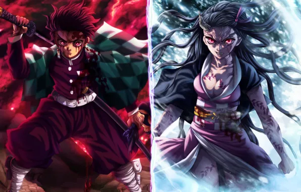 Nezuko Kamado, Demon Slayer Kimetsu no Yaiba, The Blade Cleaves Demons, Tanjirou Kamado