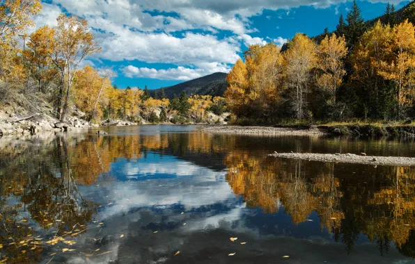Autumn, forest, the sky, clouds, nature, river