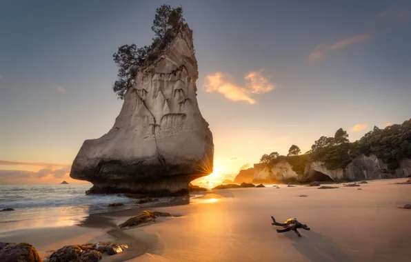 Picture rocks, dawn, coast, morning, New Zealand, Te Hoho Rock