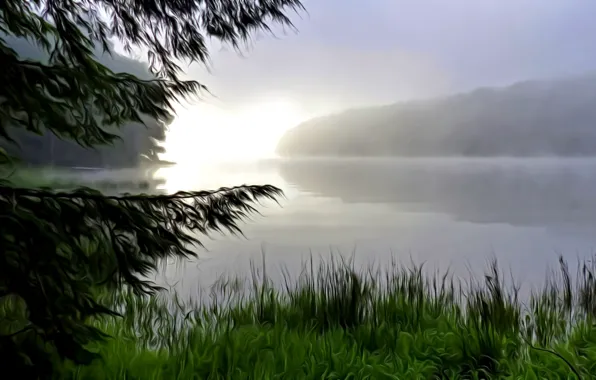 The sky, grass, water, light, landscape, fog, reflection, river