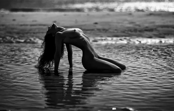Beach, chest, girl, pose, glare, shore, body, figure