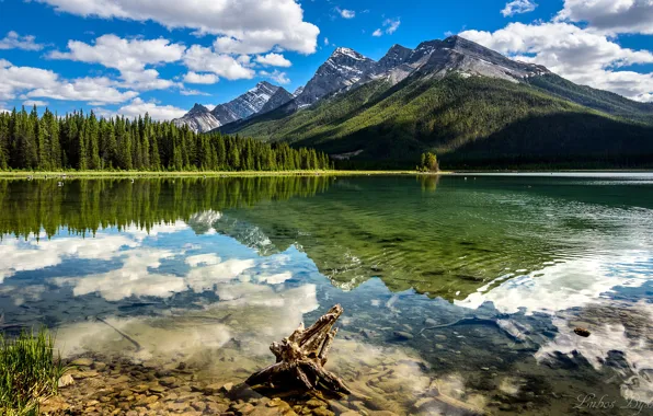 Picture forest, mountains, lake, reflection, Canada, Albert, Alberta, Canada