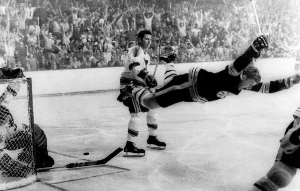 Ice, joy, gate, drop, stick, washer, goal, the audience