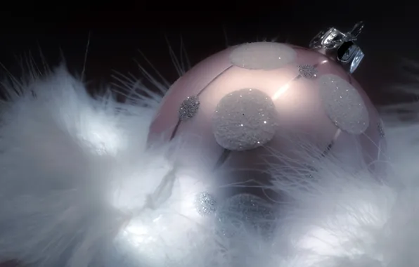 Picture macro, holiday, toy