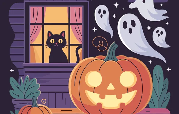 Autumn, cat, the sky, cat, look, night, pose, darkness