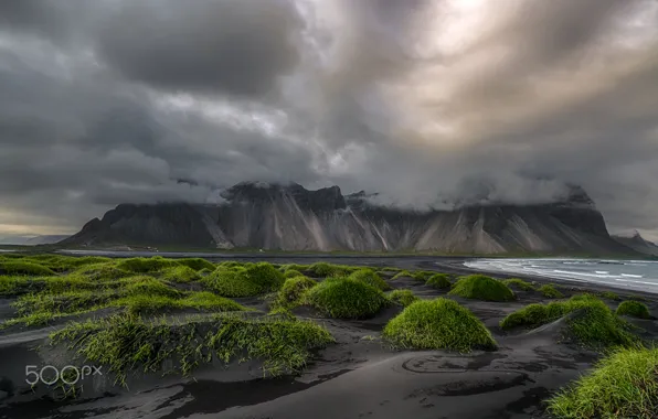 Beach, the sky, grass, mountains, clouds, Iceland