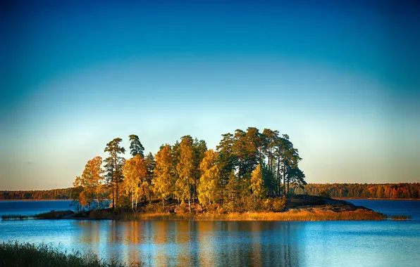 Picture forest, lake, island