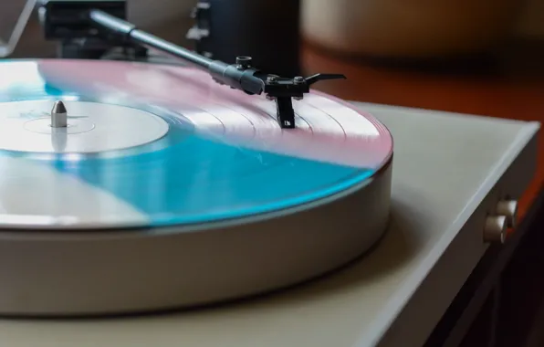 Player, vinyl, record