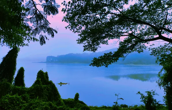 Water, Sunrise, Dawn, Morning, Fog, Lake, Trees, First Light